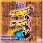 cover: Anthony Poteat - Joy (Reprise Mix)