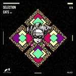 cover: Various - Selection Cats 001