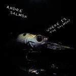 cover: Andre Salmon - Where Is The Salmon?