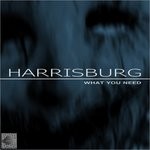 cover: Harrisburg - What You Need