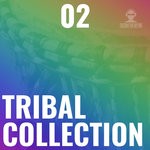 cover: Various - Tribal Collection Vol 2