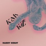 cover: Harry Heart - Kamikaze