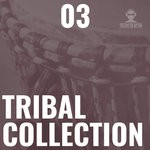 cover: Various - Tribal Collection Vol 3