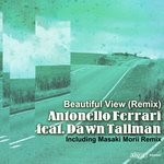 cover: Dawn Tallman - Beautiful View (Remix)