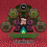 cover: Various - Tulumination III