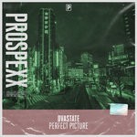 cover: Dvastate - Perfect Picture