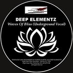 cover: Deep Elementz - Waves Of Bliss