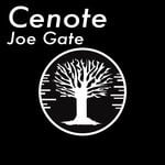 cover: Joe Gate - Cenote