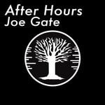 cover: Joe Gate - After Hours