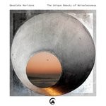 cover: Desolate Horizons - The Unique Beauty Of Noiselessness