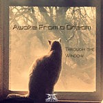 cover: Awake From A Dream - Through The Window