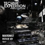 cover: Makromist - Path Of Joy