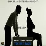 cover: Baby Lee|Terror Fabulous - Tek Dat Back (Remix)