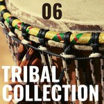 cover: Various - Tribal Collection Vol 6