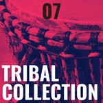 cover: Various - Tribal Collection Vol 7