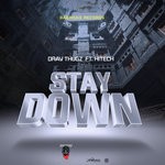 cover: Hitech - Stay Down