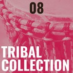 cover: Various - Tribal Collection Vol 8