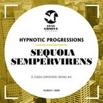 cover: Hypnotic Progressions - Sequoia Sempervirens