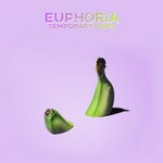 cover: Temporary Hero - Euphoria