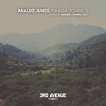 cover: Analog Jungs - Punilla (Remixes)