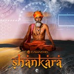 cover: Henrique Camacho - Shankara (Original Mix)