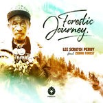 cover: Zebra Forest - Forestic Journey