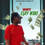 cover: Vaunte - Stay Woke (Explicit)