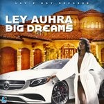 cover: Ley Auhra|Hdkyle - Big Dreams