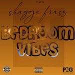 cover: Shagga Frass - Bedroom Vibes (Explicit)