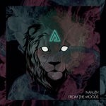 cover: Nahlith Feat Dmtr|V Links - From The Woods