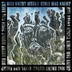 cover: Mick Jenkins|Disclosure - Who Knew? (Wookie Remix) (Explicit)