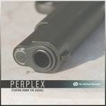 cover: Perplex (dnb) - Staring Down The Barrel