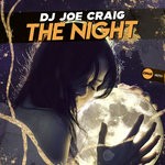 cover: Dj Joe Craig - The Night