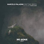 cover: Marcelo Paladini - Drifting Birds