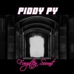 cover: Piddy Py - Forgotten Sound