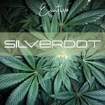 cover: Silverdot - Exativo