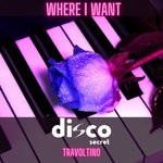 cover: Disco Secret Travoltino - Where I Want