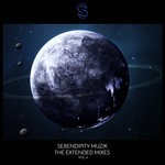 cover: Various - Serendipity Muzik: The Extended Mixes Vol 4