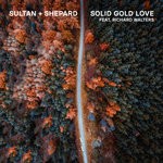 cover: Richard Walters - Solid Gold Love