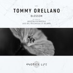 cover: Tommy Orellano - Blossom