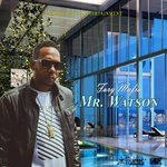 cover: Fury - Mr. Watson