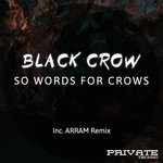 cover: Black Crow - So Words For Crows