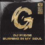 cover: Dj Fudge - Burning In My Soul