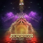 cover: Soundragon - Exuberant Life