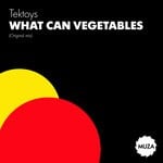 cover: Tektoys - What Can Vegetables (Original Mix)