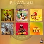 cover: Various - Bingyman Riddim