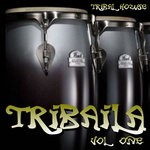 cover: Various - Tribaila: Tribal House Vol 1