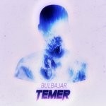 cover: Bulbajar - Temer