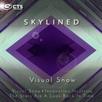 cover: Skylined - Visual Snow