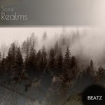 cover: Soire - Realms